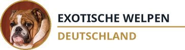 Exotische Welpen Deutschland
